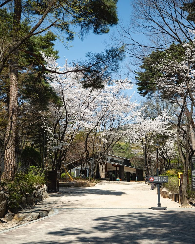 Jardin du palais de Changdeok à Séoul en Corée du Sud