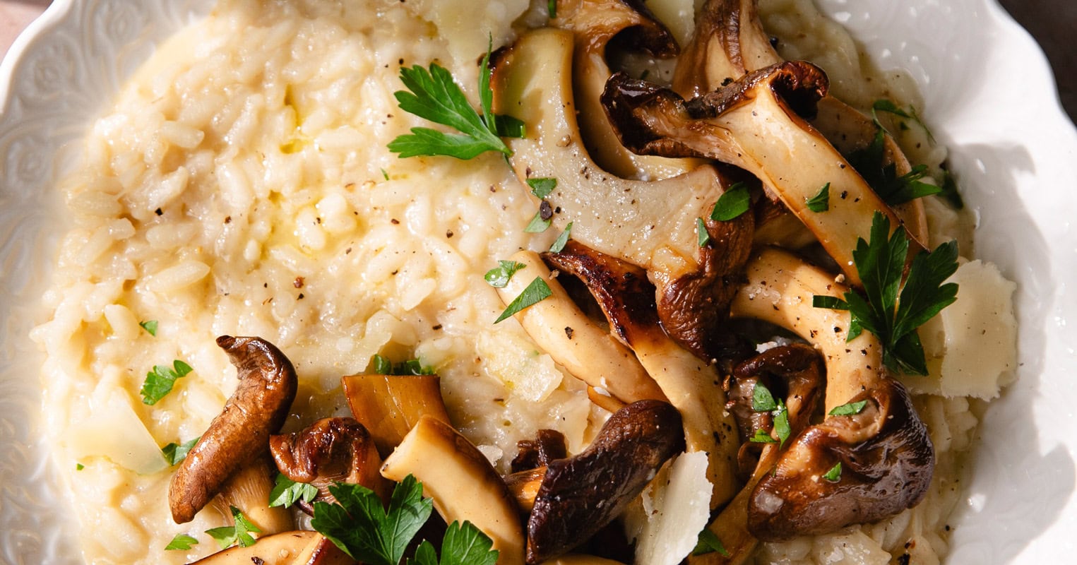 Assiette de risotto aux pleurotes