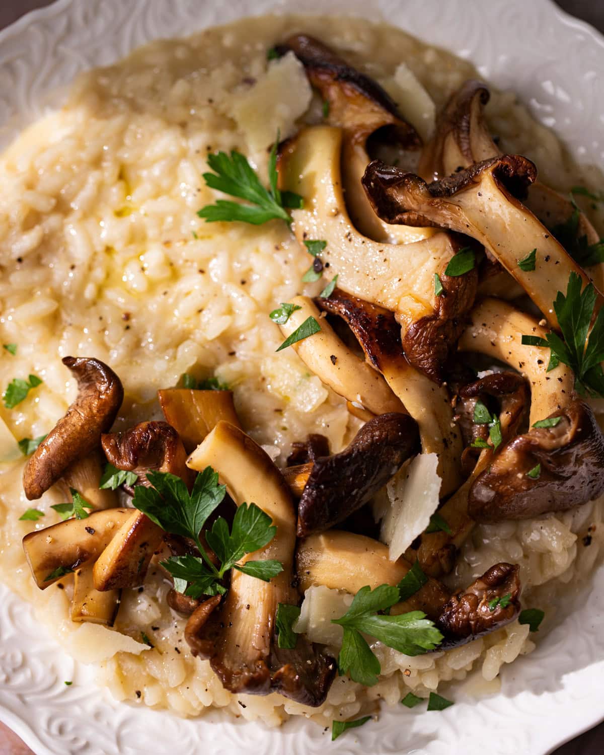 Assiette de risotto aux pleurotes