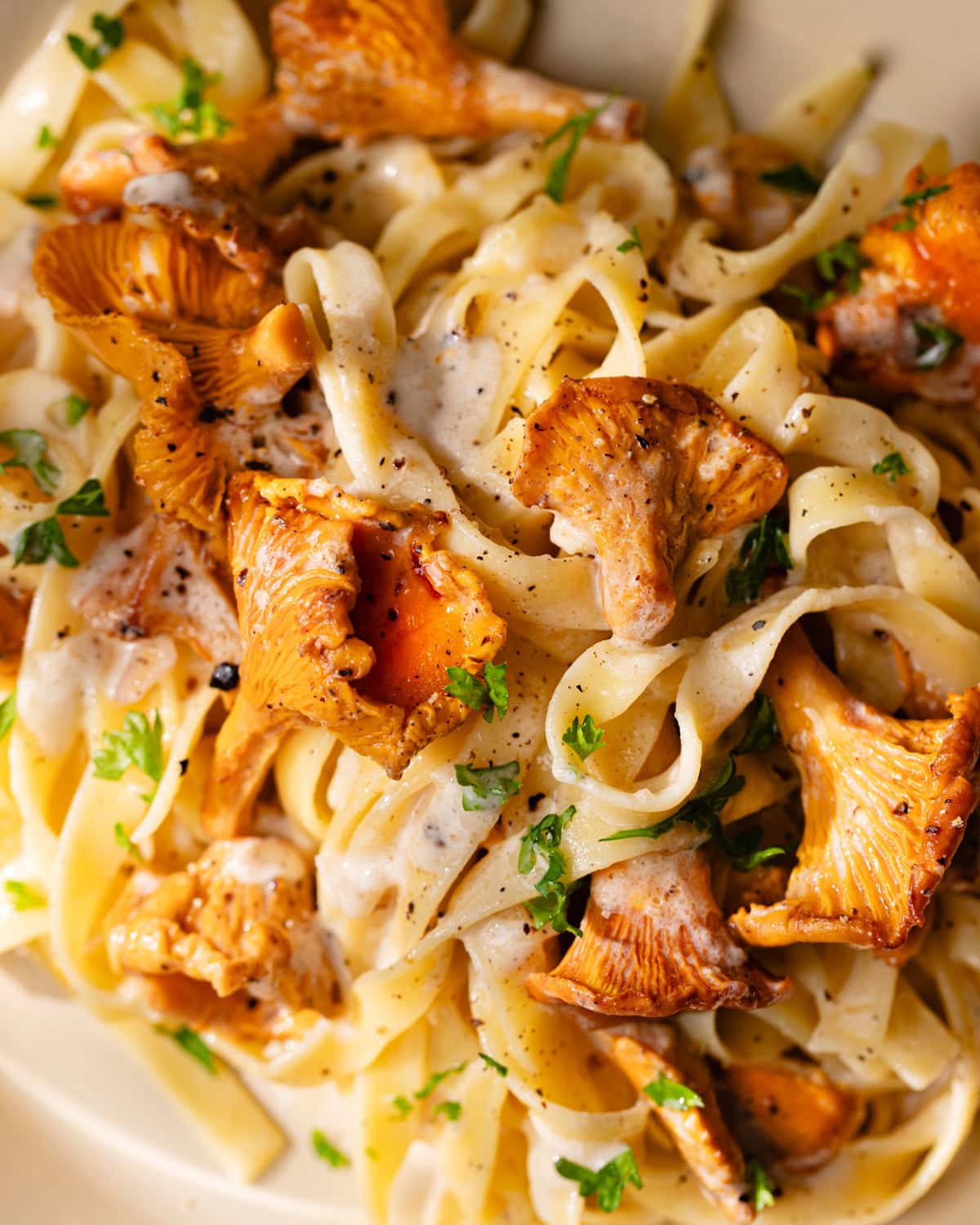 Les tagliatelles aux girolles, l’automne en plein dans l’assiette ! 2 Assiette de pâtes aux girolles