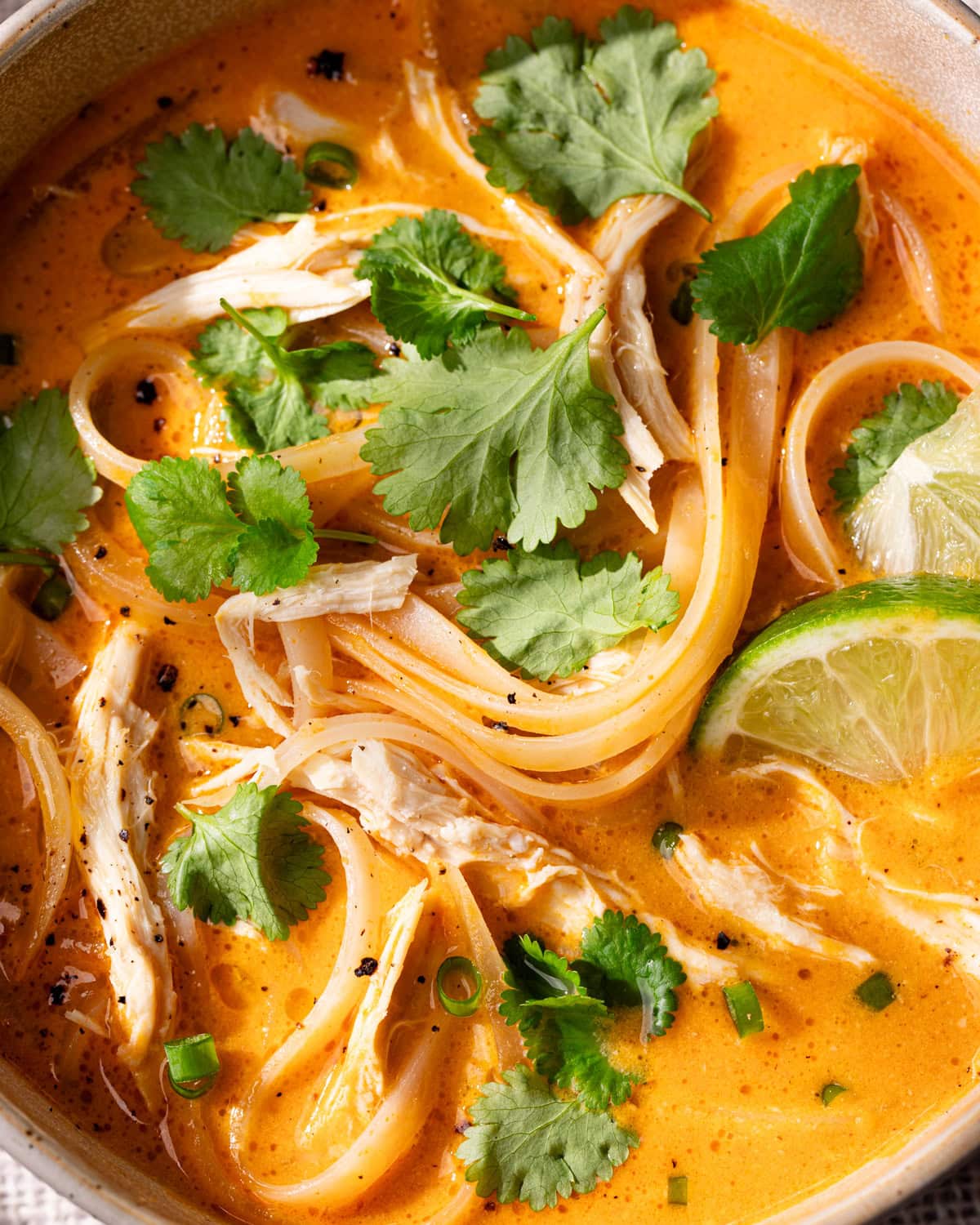 Bol de soupe thaï au poulet et curry rouge