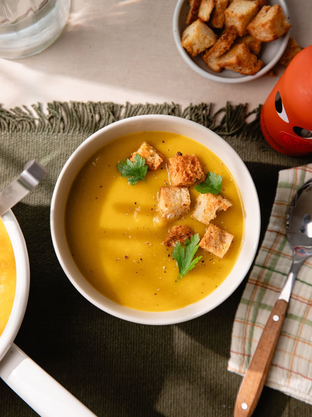 Bol de soupe maison aux 7 légumes