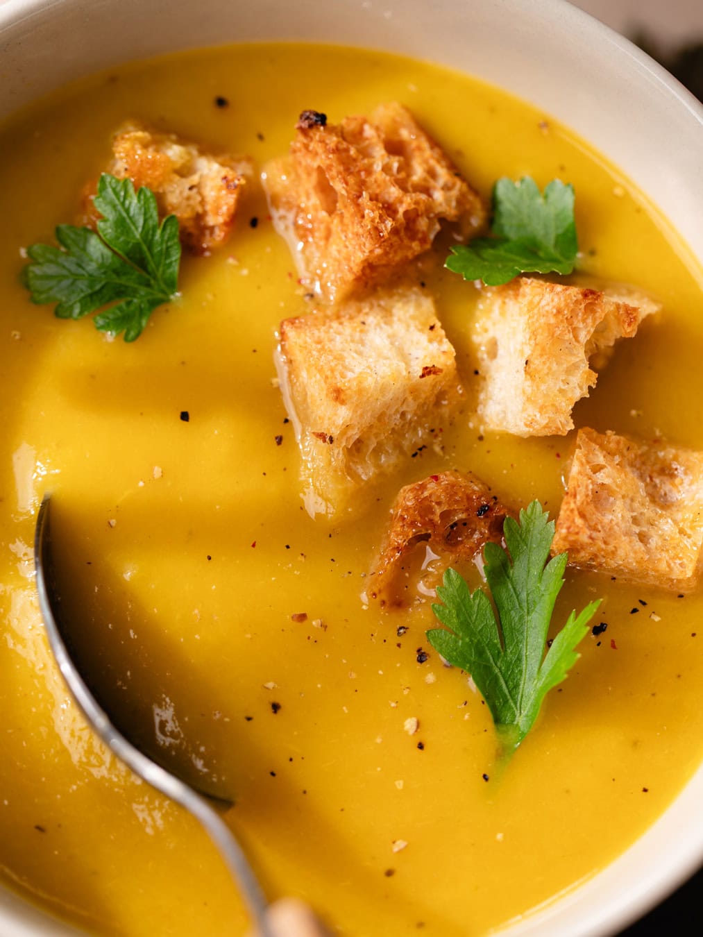 Bol de soupe maison aux 7 légumes