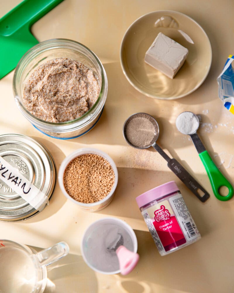 Le guide pratique sur les différents types de levure (et levain) !