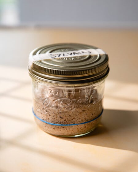 Guide : le levain de seigle pas à pas. Comment démarrer ?