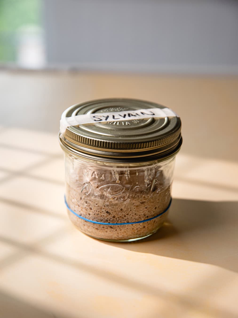 Levain de seigle dans un bocal