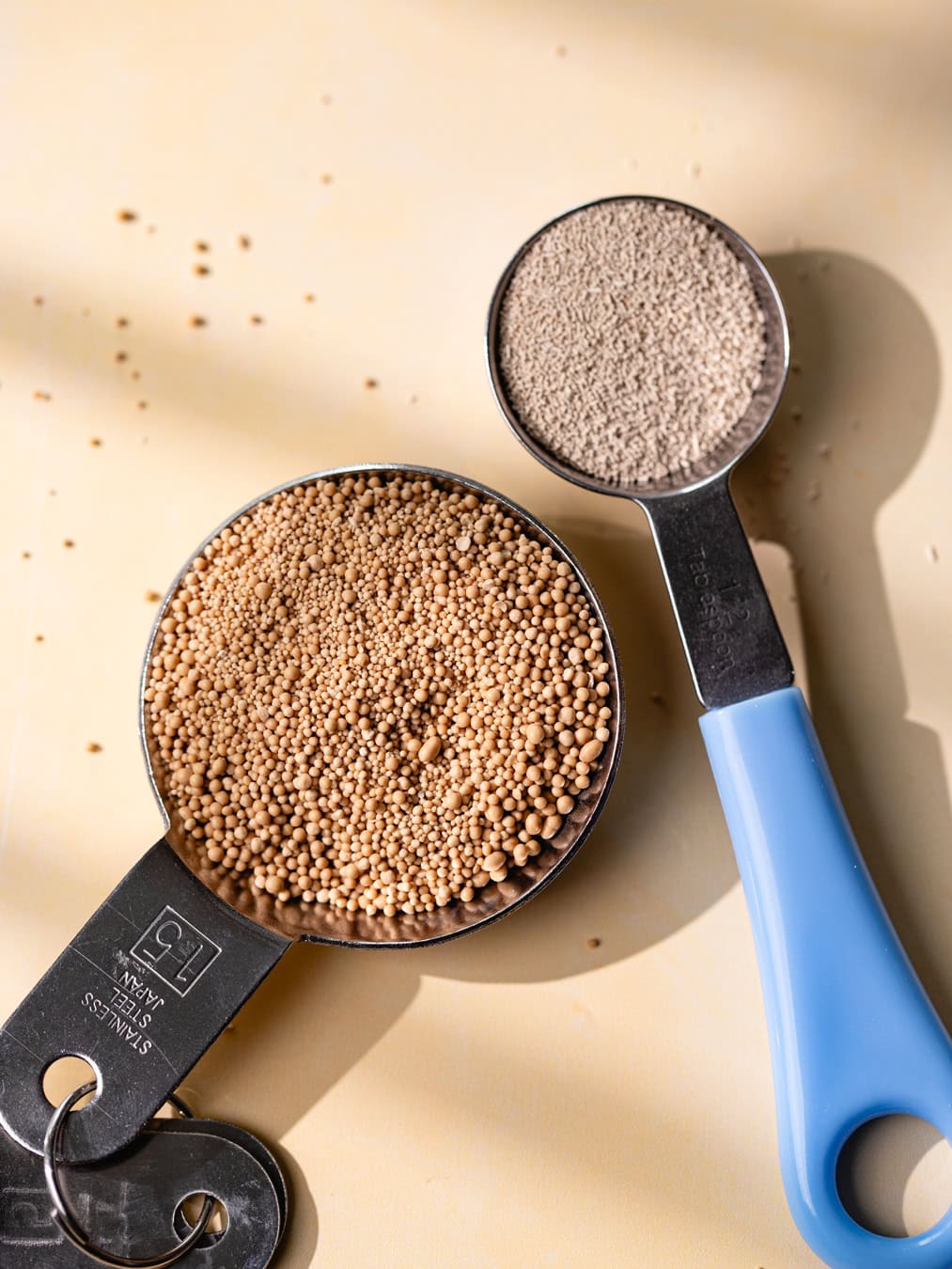 Cuillères de levure du boulanger active vs levure du boulanger instantanée