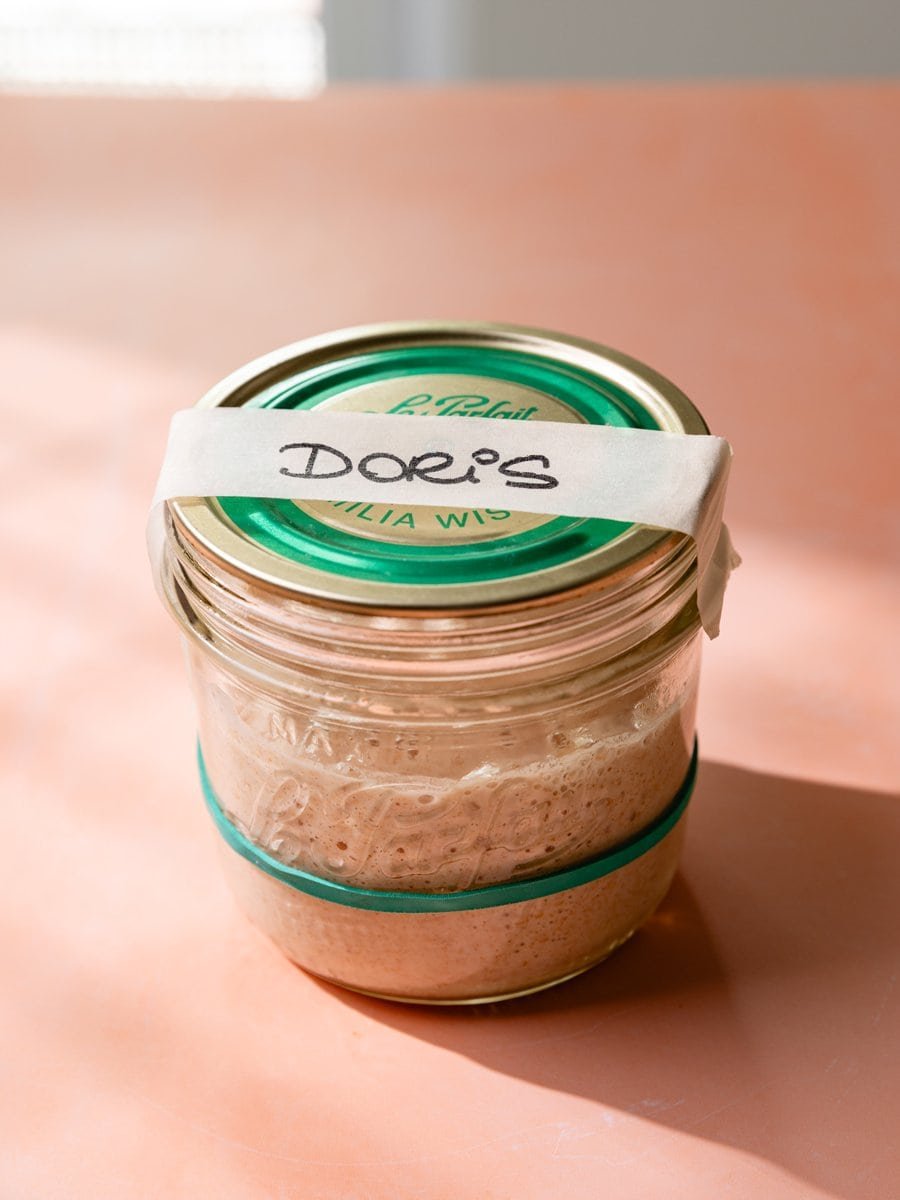 Levain de blé actif dans un bocal en verre avec élastique de repère de fermentation