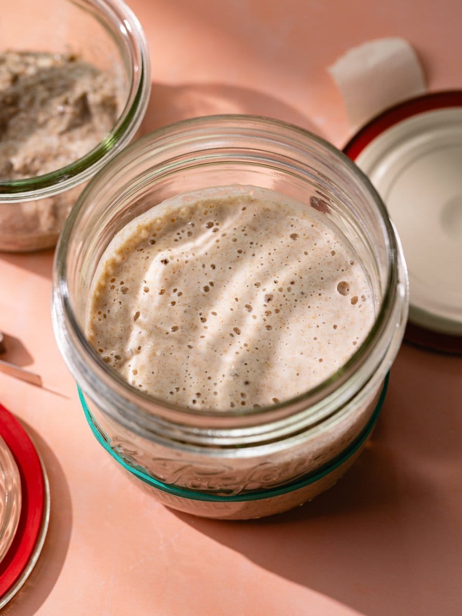 Levain de blé maison avec structure alvéolée et nombreuses bulles de fermentation
