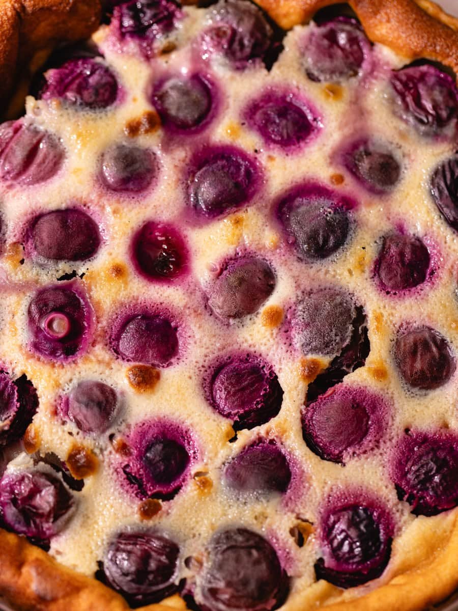 Clafoutis aux cerises moelleux dans un plat à tarte, avec cerises entières légèrement caramélisées et pâte dorée maison