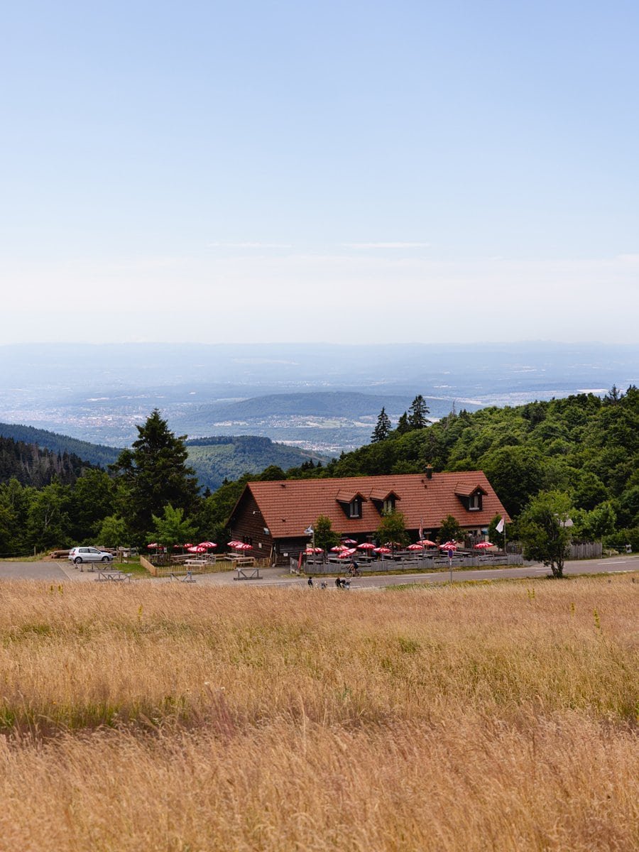 Vue panoramique depuis le Ballon d'Alsace dans le Massif des Vosges