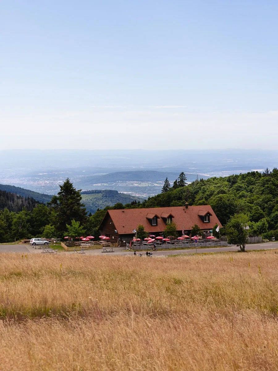 Vue panoramique depuis le Ballon d'Alsace dans le Massif des Vosges