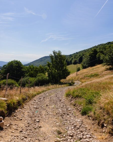 Les Vosges gourmandes : bonnes adresses entre producteurs, fermes-auberges et restaurants !