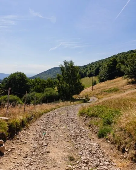 Les Vosges gourmandes : bonnes adresses entre producteurs, fermes-auberges et restaurants !