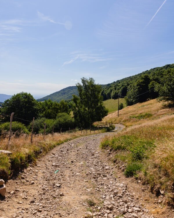 Chemin de randonnée traversant les pâturages près du Lochberg