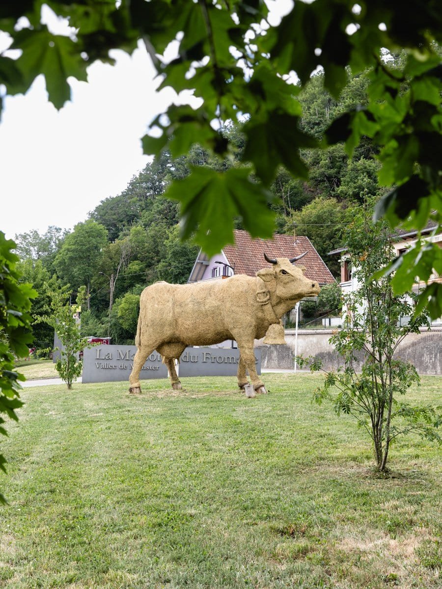 Sculpture de vache devant la Maison du Fromage à Gunsbach