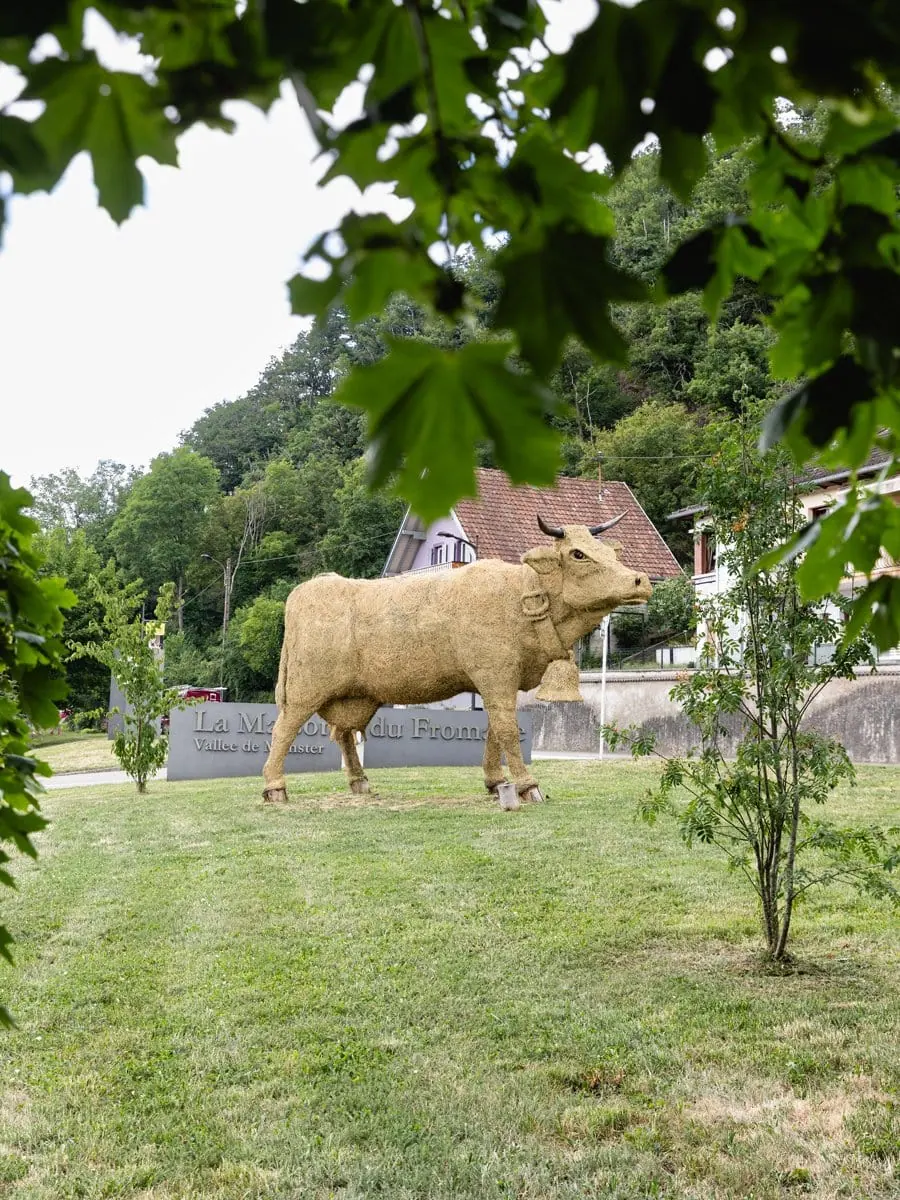 Sculpture de vache devant la Maison du Fromage à Gunsbach